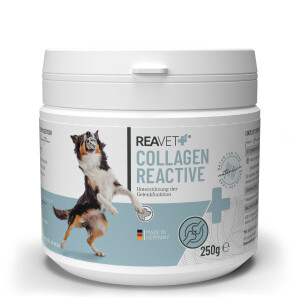 Collagen Reactive 250g – Kollagenpulver für...