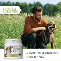 ReaVET Z-Blocker PLUS Tabletten für Hunde – 120 Stück natürlicher Zeckenschutz