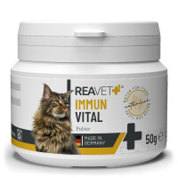 ReaVET Immun Vital für Katzen – 50g...