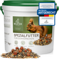 Spezialfutter für Eichhörnchen 1kg – Artgerecht & Regional