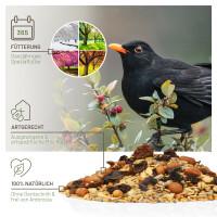 Futtertraum Bodenfresser Mix 5kg - Premium Naturfutter für Wildvögel