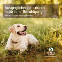 AniForte Bachblüten Rivalität 15 g